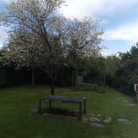 Apartamentos Rurales Alvado Tamajon Extérieur photo